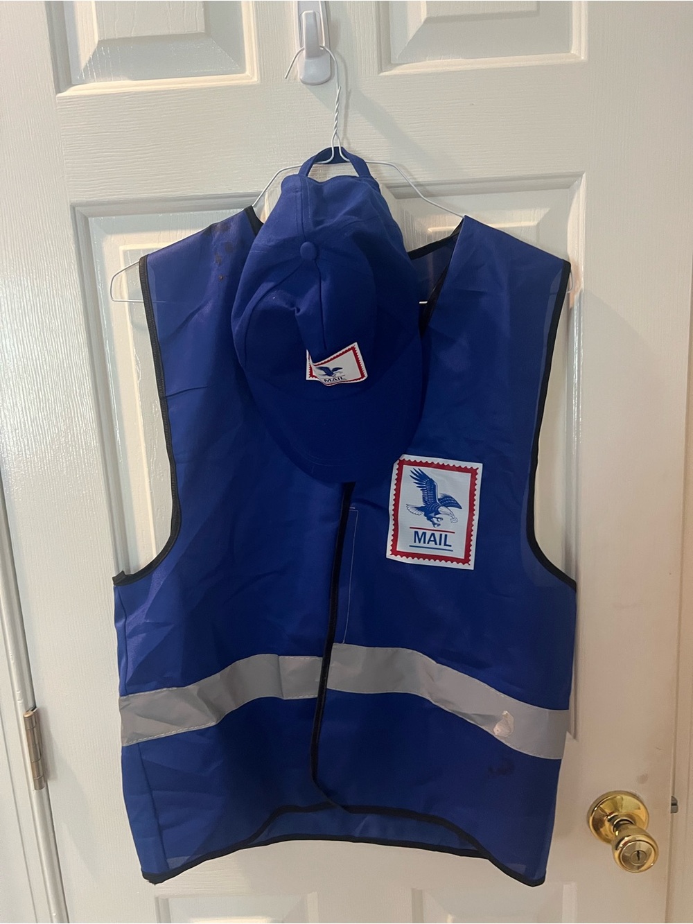 Adult costume Blue Mail Carrier Vest & Cap Set